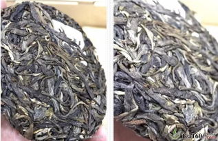 福元號首款生肖紀念茶 全國經銷商品茗珠海站，共啟茶葉代理與銷售新篇章