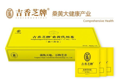 桑黃茶全國區(qū)域代理商招募 誠邀合作伙伴，共享健康茶飲藍(lán)海市場(chǎng)